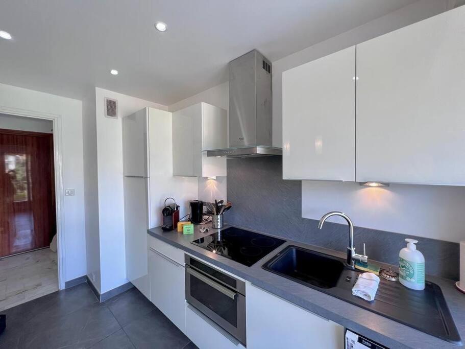 Le Pinede - Apt 4 Prs- Parking - Clim - 500M Plages Антіб Екстер'єр фото